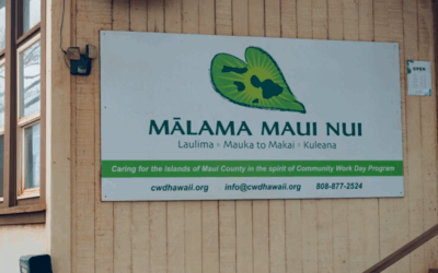 Mālama Maui Nui Collects Household Used Cooking Oil on Maui to Recycle into Locally Produced Biodiesel