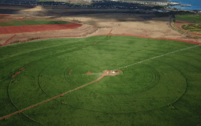 Agriculture Operations 2025